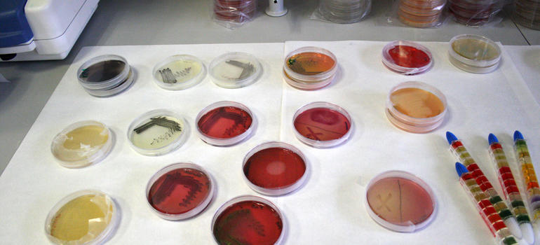 Laboratorio