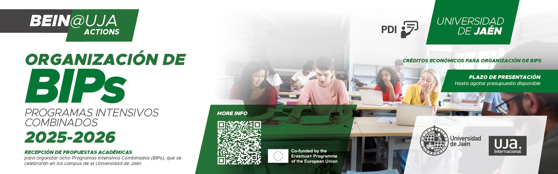 Organización de BIPs (Programas Intensivos Combinados) en los Campus de la UJA