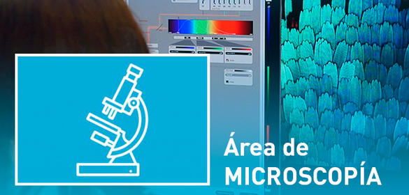 Área de MICROSCOPÍA